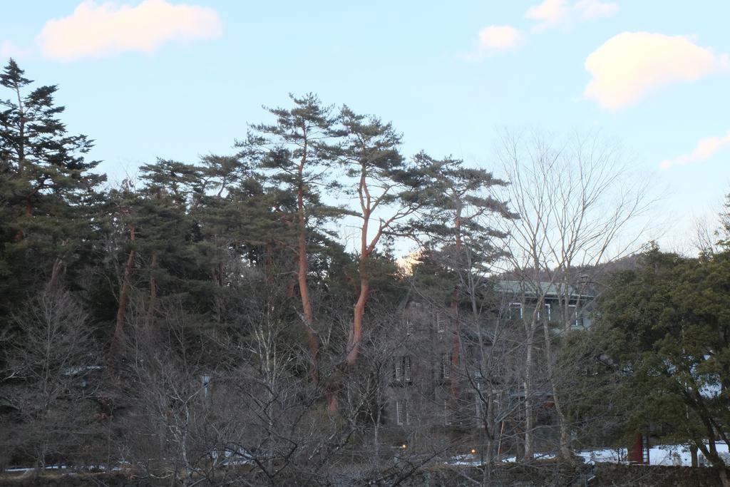Hotel Seikoen Nikko Εξωτερικό φωτογραφία